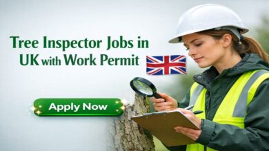 Tree Inspector Jobs in UK with Work Permit