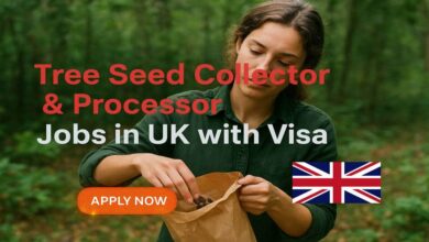 Tree Seed Collector & Processor Jobs in UK with Visa