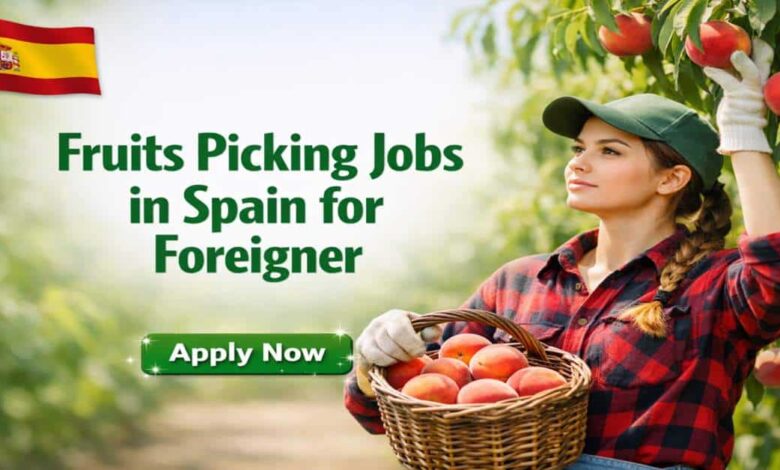 Fruits Picking Jobs in Spain for Foreigner