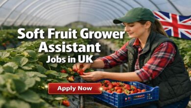 Soft Fruit Grower Assistant Jobs in UK