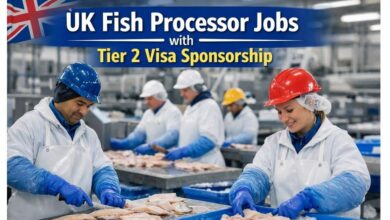 UK Fish Processor Jobs with Tier 2 Visa Sponsorship