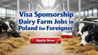 Visa Sponsorship Dairy Farm Jobs in Poland for Foreigner