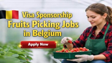 Visa Sponsorship Fruits Picking Jobs in Belgium