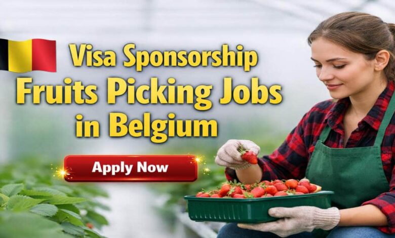 Visa Sponsorship Fruits Picking Jobs in Belgium