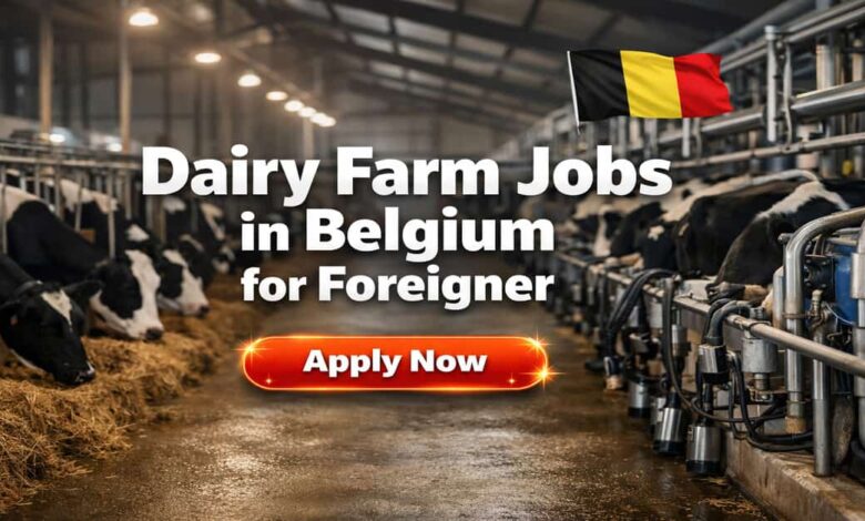 Dairy Farm Jobs in Belgium for Foreigner