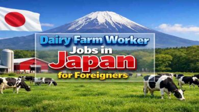 Dairy Farm Worker Jobs in Japan for Foreigners