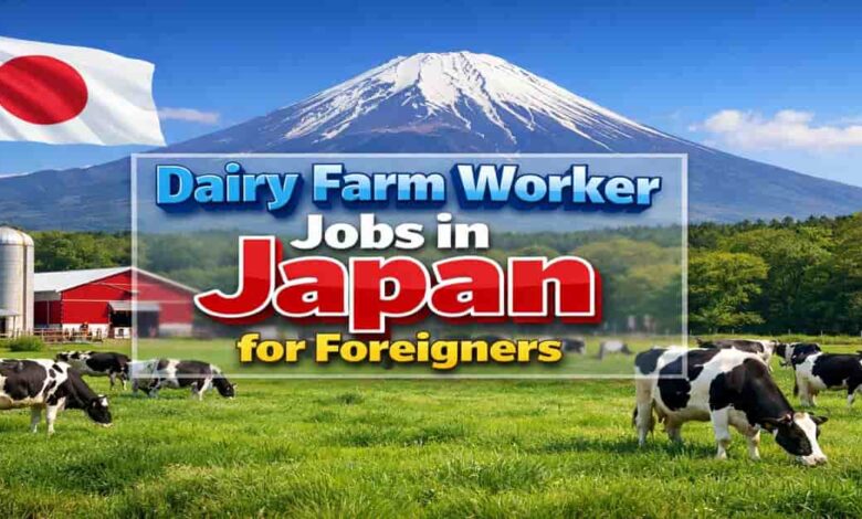 Dairy Farm Worker Jobs in Japan for Foreigners