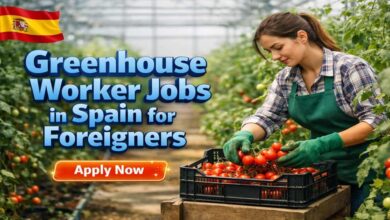 Greenhouse Worker Jobs in Spain for Foreigners