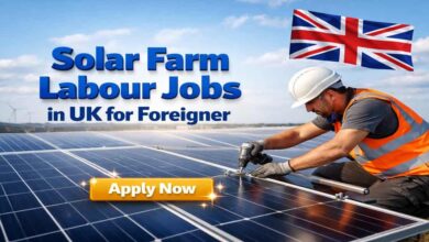 Solar Farm Labour Jobs in UK for Foreigner