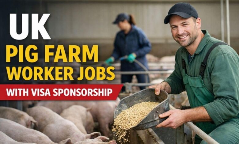 UK Pig Farm Worker Jobs with Visa Sponsorship