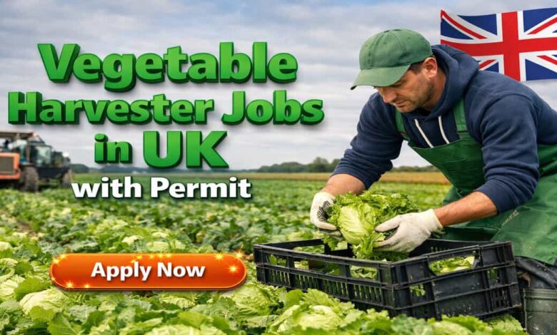 Vegetable Harvester Jobs in UK with Permit