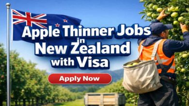 Apple Thinner Jobs in New Zealand with Visa
