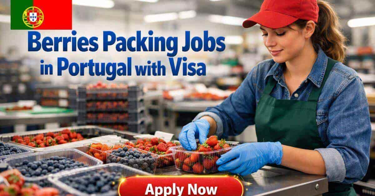 Berries Packing Jobs in Portugal with Visa