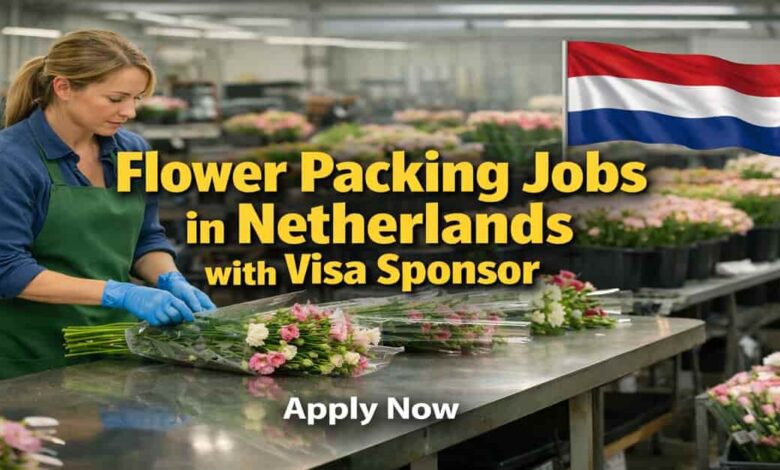 Flower Packing Jobs in Netherlands with Visa Sponsor