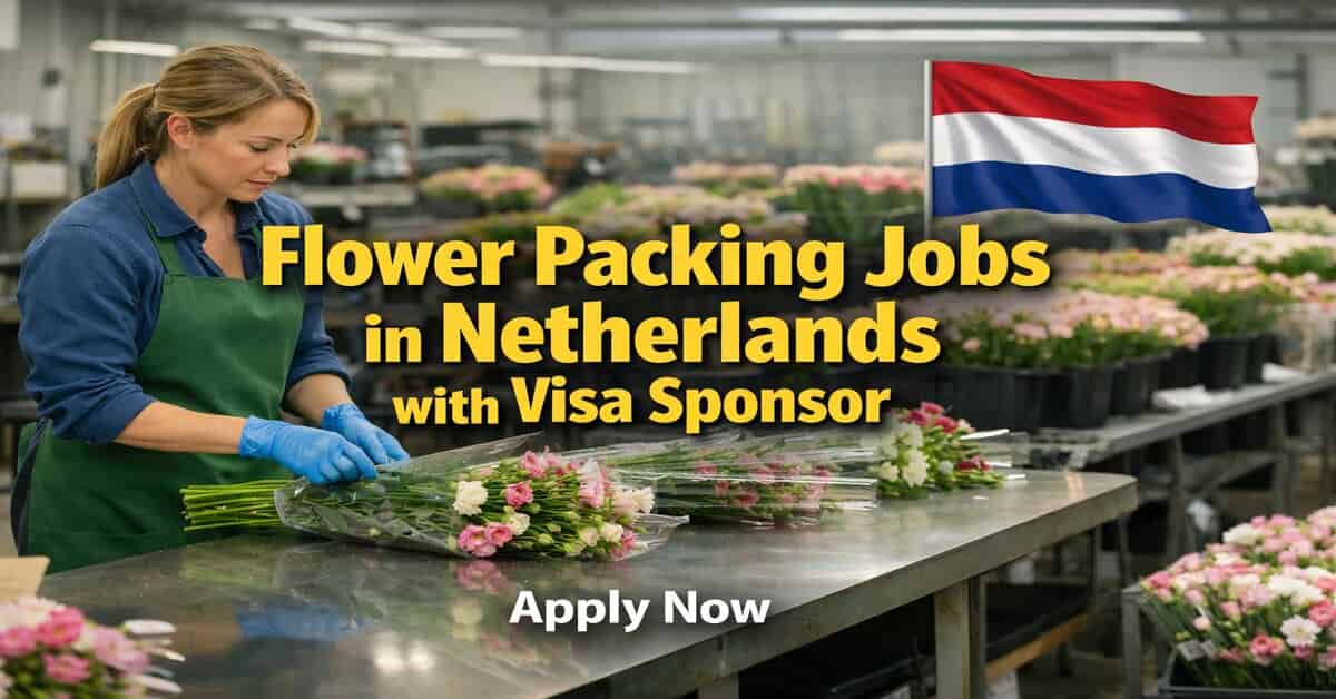 Flower Packing Jobs in Netherlands with Visa Sponsor