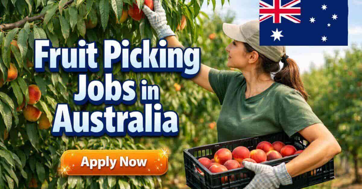 Fruit Picking Jobs in Australia