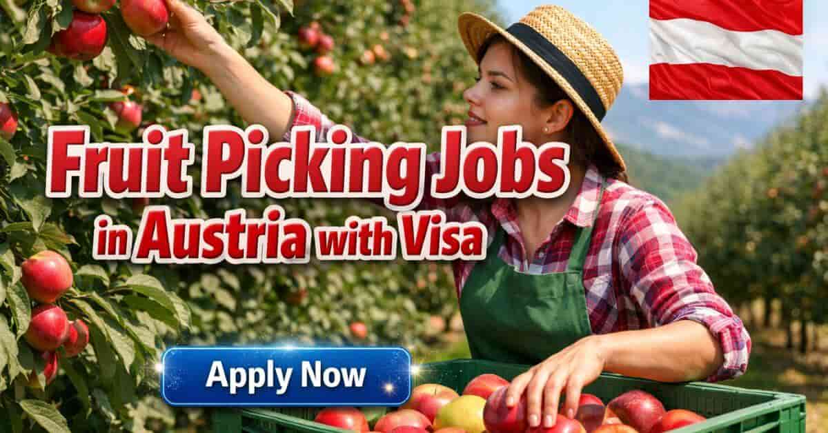 Fruit Picking Jobs in Austria with Visa