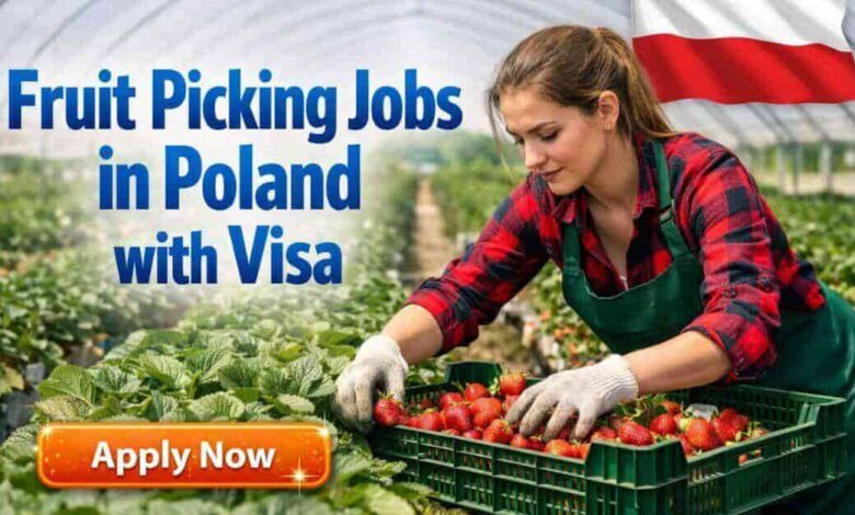 Fruit Picking Jobs in Poland with Visa
