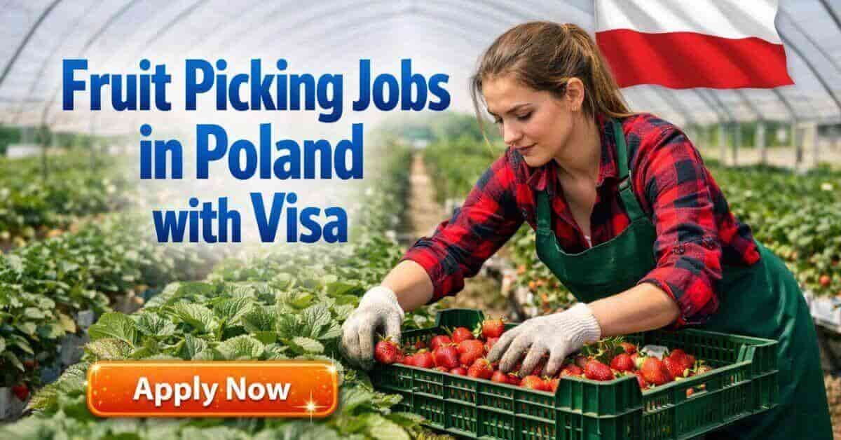 Fruit Picking Jobs in Poland with Visa
