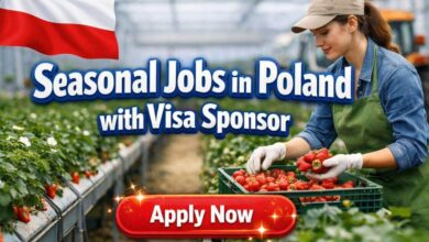 Seasonal Jobs in Poland with Visa Sponsor