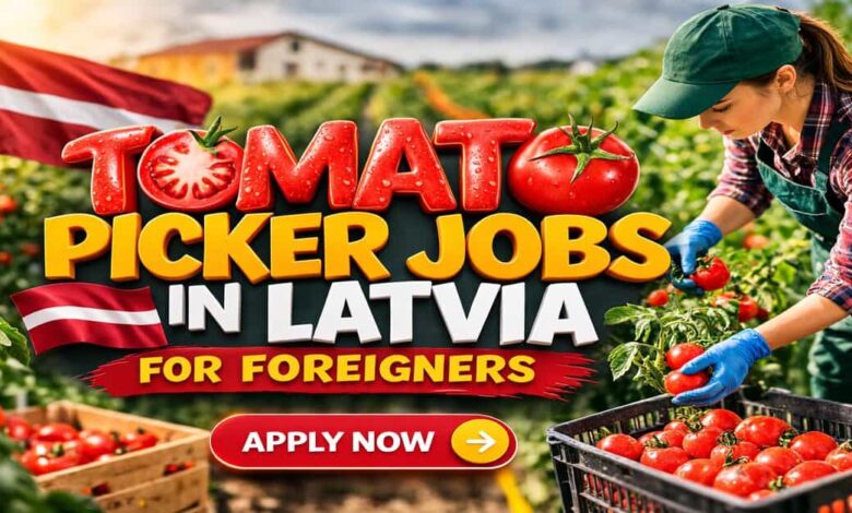 Tomato Picker Jobs in Latvia for Foreigners