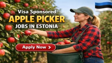 Visa Sponsored Apple Picker Jobs in Estonia