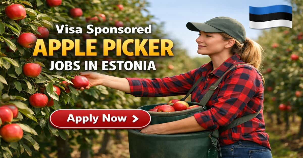Visa Sponsored Apple Picker Jobs in Estonia