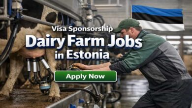 Visa Sponsorship Dairy Farm Jobs in Estonia