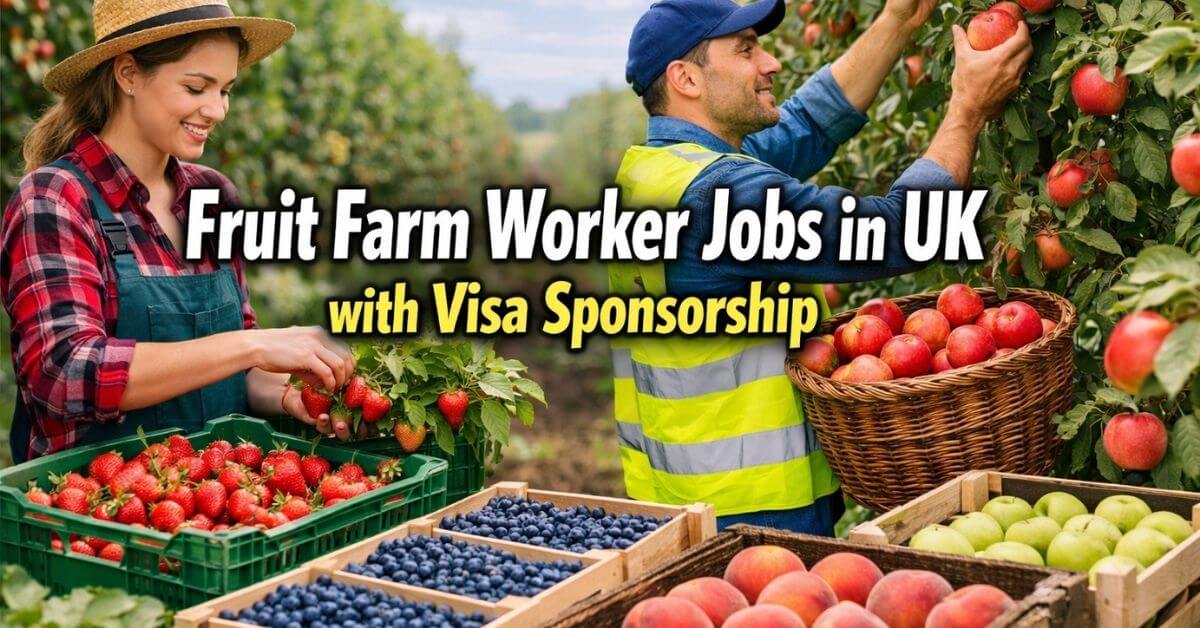 Fruit Farm Worker Jobs in UK with Visa Sponsorship