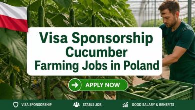 Visa Sponsorship Cucumber Farming Jobs in Poland