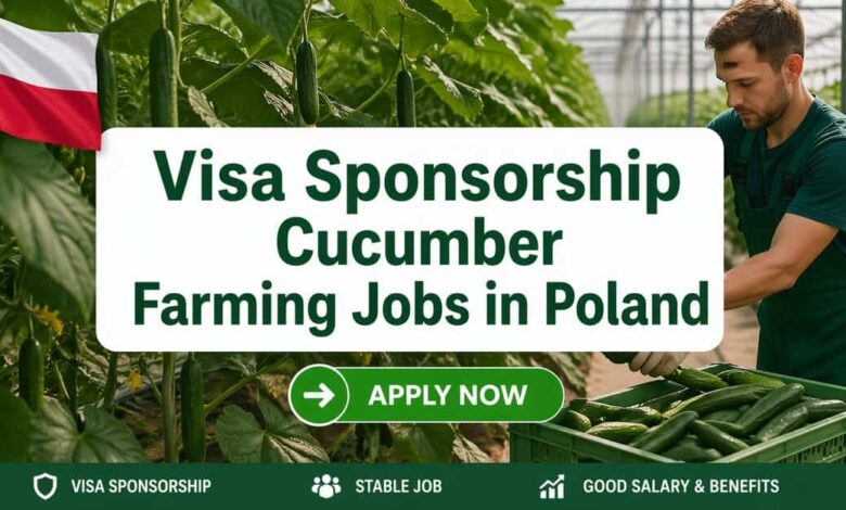 Visa Sponsorship Cucumber Farming Jobs in Poland