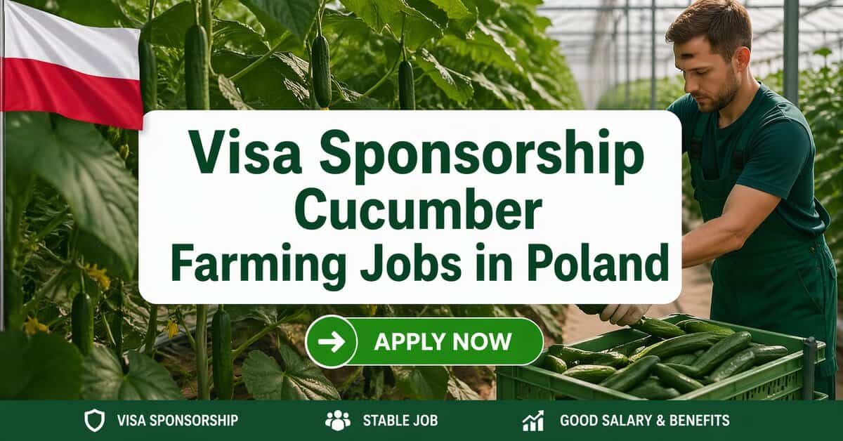 Visa Sponsorship Cucumber Farming Jobs in Poland