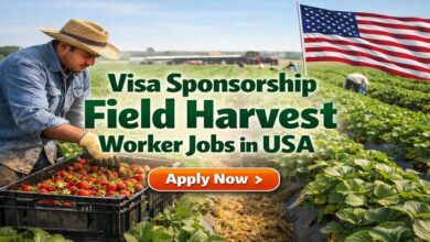 Visa Sponsorship Field Harvest Worker Jobs in USA