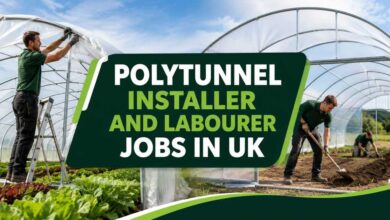 Polytunnel Installer and Labourer Jobs in UK