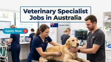 Veterinary Specialist Jobs in Australia